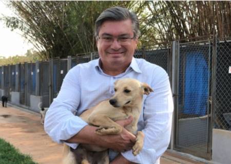 Prefeito Daniel Alonso garante servios de recolhimento de animais de pequeno, mdio e grande porte